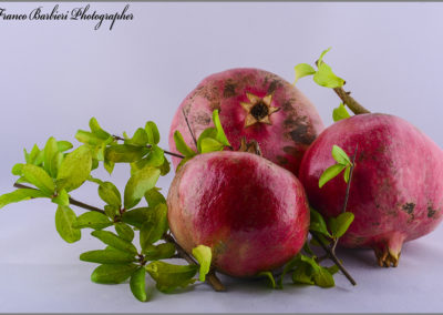 Still Life